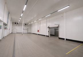 Pest megye Tök újszerű élelmiszeripari üzem, 16608nm-es telken 3600nm szintterületű üzemi épület eladó